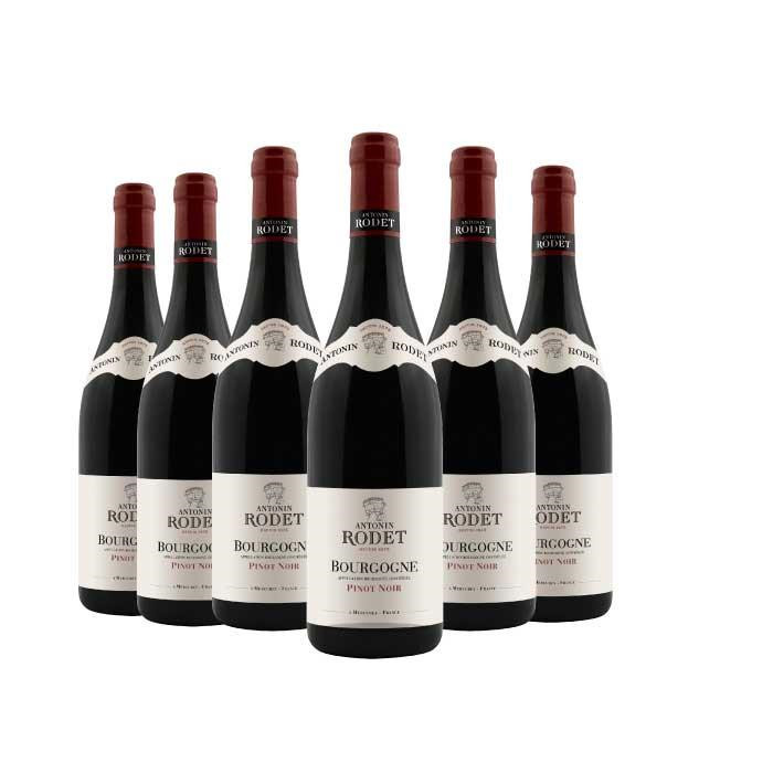 Rodet Maison Antonin Rodet | Carton de 6 Bourgogne Pinot Noir 2024 - Antonin ...