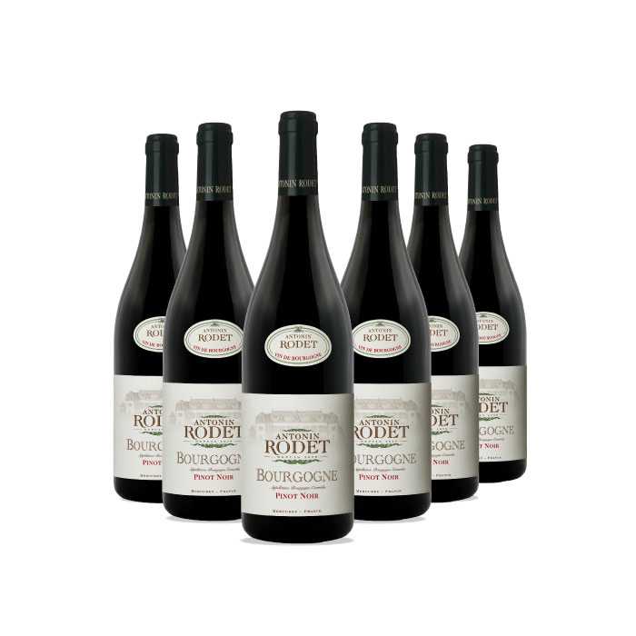 Carton de 6 bouteilles de Bourgogne Pinot Noir 2019 - Antonin Rodet